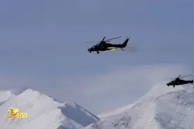 飞极限 打边界 陆航旅高原多弹种实战演练视频封面