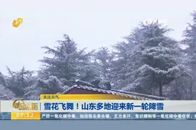 一大波雪景来袭！山东多地迎降雪，雪花飞舞，白茫茫一片如梦如幻