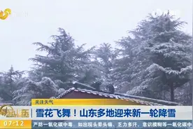一大波雪景来袭！山东多地迎降雪，雪花飞舞，白茫茫一片如梦如幻
