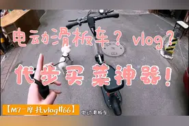 代步神器？电动滑板车小狗也能坐！买菜方便多了比摩托车强！