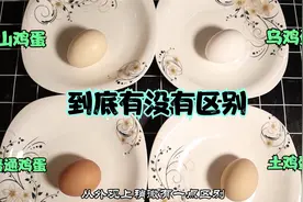 土鸡蛋、乌鸡蛋、山鸡蛋、普通蛋到底有没有区别，看完你就会明白视频封面