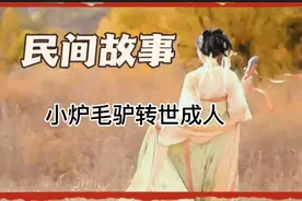 小毛驴转世成人故事视频封面