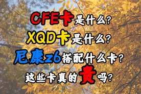 尼康Z6该怎么选择内存卡？XQD卡为什么这么贵？CFE卡到底是什么？视频封面