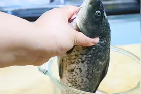整条鱼丢进破壁机，这做法第1次见，出锅营养美味，连骨头都不剩视频封面