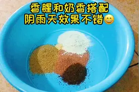 阴雨天去野钓，香腥和奶香饵料这样搭配，走水钓浮效果不错