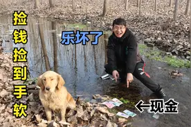 金毛在河边发现大量现金，小伙过去一看还有百元大钞，真是乐坏了视频封面