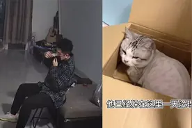 男子喝醉回家突发奇想，抓住猫给其剃毛，隔天看到猫咪网友笑翻了视频封面
