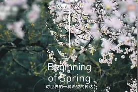 将24节气融入倒计时，北京冬奥会立春开幕尽显中国人的浪漫视频封面