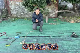 你知道牵引绳的带法吗？看完这七分钟，让你变用绳高手视频封面