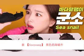 黑色的海蜗牛【转载】