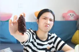 小松鼠最爱的馋嘴零食你吃过吗？黑乎乎的外表，闻起来还有点臭！