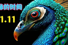 神秘的时间-11：11视频封面