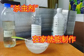 别花冤枉钱买杀虫剂了，只要3样常见的小东西，自己在家也能制作视频封面