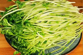 家常豆苗最好吃的做法，鲜香入味又营养，开胃下饭，没肉也特香视频封面