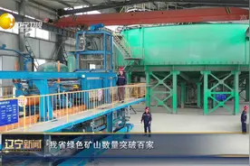 辽宁新闻｜我省绿色矿山数量突破百家视频封面
