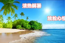 夏天解暑必备旋律：悠扬的音符  轻松的旋律 清热解暑 放松解压视频封面