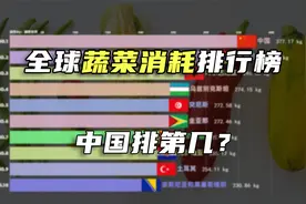 各国每年人均蔬菜消耗量排名 中国人为啥这么瘦？看完你就知道了视频封面