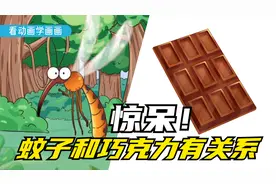 蚊子没了，巧克力可能也会消失