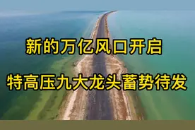 电力行业的重要分支，特高压万亿风口开启，九大龙头蓄势待发视频封面