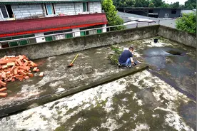 80平老旧楼顶改花园，不到一万能成吗？看火哥如何实现，第二集视频封面