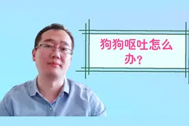 生活大百科之狗狗呕吐怎么办？这个小方法比吃药还管用