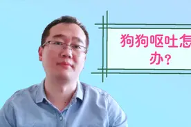 生活大百科之狗狗呕吐怎么办？这个小方法比吃药还管用