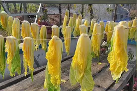 晒白菜干，这样做比新鲜白菜还好吃，冬天炖肉超香，棒棒哒