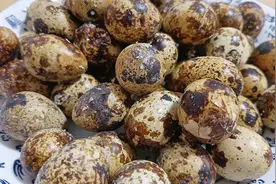 盐焗鹌鹑蛋别只会放盐，学会客家这种做法，干香入味，好吃还不腻