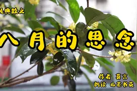 经典散文诵读《八月的思念》，作者莫言，对奶奶的深深思念视频封面