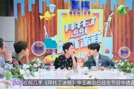 《冰箱5》杨紫透露为何将朋友圈设置三天可见，原来是和偶像有关视频封面
