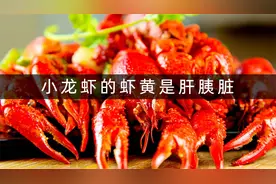 不要吃！小龙虾头部的虾黄是肝胰脏！视频封面