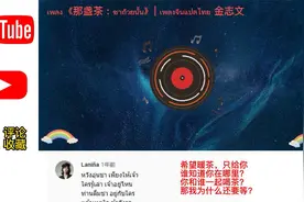 国外网友听中文歌曲，泰国网友：太好听了，我听了10遍视频封面
