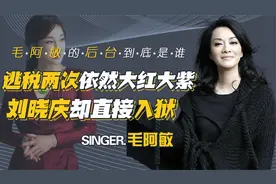 刘晓庆偷税2256万入狱，毛阿敏漏税两次，为何还能安然无恙出国视频封面