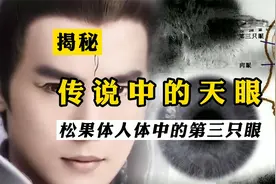松果体，人体的第三只眼，传说激活松果体，便能打开天眼视频封面