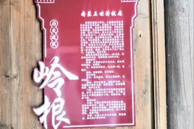 王世芳有记载以来活了140岁！8位将军，点赞、关注都能带来好运！视频封面