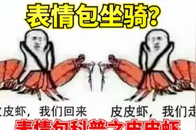 【表情包科普25】皮皮虾我们走？皮皮虾成为表情包的故事视频封面