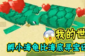 我的世界：没想到吧！孵小海龟比海底寻宝还难！
