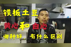 黄心土豆和白心土豆有什么区别？摆摊做铁板土豆用哪种好？