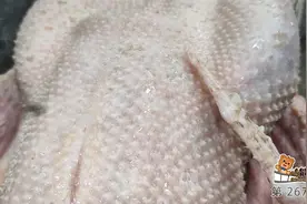 原来用这种方法拔鹅毛这么轻松 就是这么简单视频封面