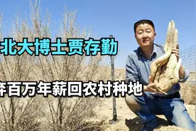 6年前放弃百万年薪，回农村种地的北大博士贾存勤，如今发展如何视频封面