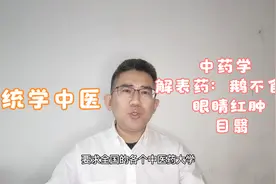 中药学教材对功效的选择，鹅不食草在眼睛红肿、目翳方面的应用视频封面