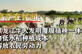 黑龙江牛人发明覆膜插秧一体机，一人搞定百亩作业，专家自叹不如视频封面