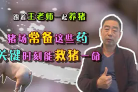 猪场常备这些药，养猪生病不发愁！关键时刻还能救猪一命视频封面