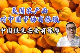 美国农产品对中国市场有依赖，中国粮食安全有保障视频封面