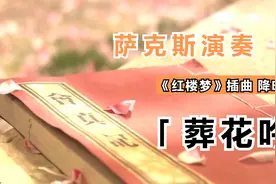 萨克斯演奏《葬花吟》《红楼梦》插曲，红消香断有谁怜 降E调