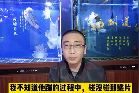 观赏鱼炸鳞先要查找原因，有很多原因导致，查不出原因，无法治疗视频封面