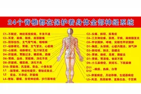 每一节脊椎对应不同的脏器！身体出现这些症状，可能是脊椎引起的视频封面