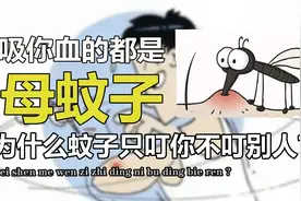蚊子是怎么吸血的？它为什么只叮你不叮别人？全过程让人心惊视频封面