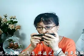1452小娟 口琴版《蒲田进行曲》，多把口琴，看看半音琴换得怎样视频封面