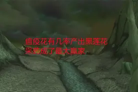 魔兽世界轮回服：瘟疫花有几率产出黑莲花，采药成了最大赢家视频封面